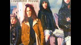 Tony Harnell  Morning Wood  Desperado [upl. by Ardnuaed]