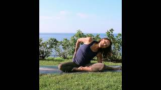 Can 7 minutes of Somatic Exercises release tension and emotion [upl. by Nawek586]