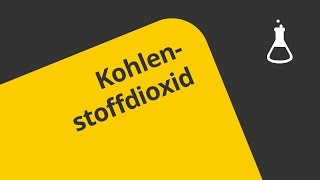 Kohlenstoffdioxid der Nachweis  Chemie  Analytische Chemie [upl. by Chessa]