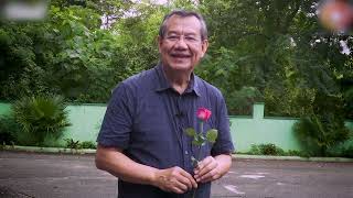 TURN YOUR THORNS INTO ROSES with Fr Jerry Orbos SVD [upl. by Kassandra]