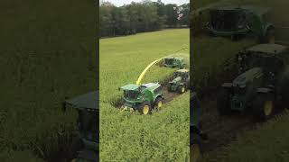 This team is strongreaper silagemachine modern agriculture shorts viralvideo youtubeshorts [upl. by Concoff]