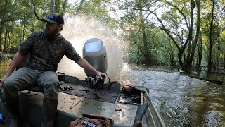 Opening day 2024 Choctawhatchee river duck hunt [upl. by Wennerholn407]