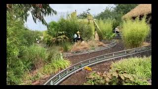 WILD Ostrich Safari Ride Sundown Adventureland 2024 Theme Park [upl. by Yecrad]