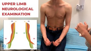 OSCE Video Series Upper Limb Neurological Examination  Teaching for Impact [upl. by Faythe777]