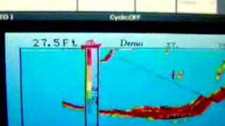 INTERPHASE FORWARD LOOKING SONAR WITH RAYMARINE E120 [upl. by Marie-Ann608]