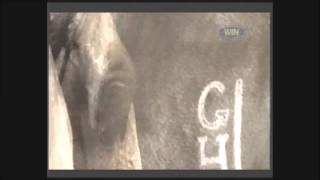 GTV NINE NETWORK Wide World Of Sports  Horse Racing opening title [upl. by Ruthann685]