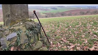 Blackthorn WalkingStick  Irish Shillelaghs RhineValley [upl. by Ylram]