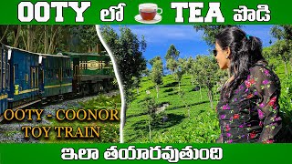 ooty tea garden and chocolate factory  ooty to coonor toy train visuals [upl. by Suter792]