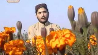 Masido Minbaro lobe kawe Pashto Naat by Hafiz Sohail Ahmad Vol 21 [upl. by Boorer]