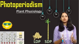 PHOTOPERIODISM I Plant Physiology I Plant Growth and Development I LDP SDP DNP LSDP SLDP [upl. by Suilienroc]