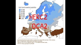 The Origins Of Blue Eyes OCA2HERC2 phylogenetic tree [upl. by Nnaylrebmik]