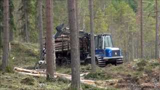 Rottne F18 Loading Timber Nice Sound [upl. by Brottman788]