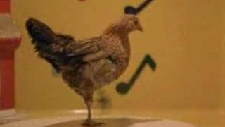 gallina dance xD [upl. by Kaya]