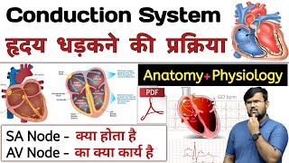 हृदय धड़कन  Heart Conductive System  Anatomy and Physiology  Anatomy in hindi  Physiology [upl. by Keefer288]