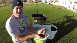 Applying HUMATE or Humic Acid to lawn [upl. by Oidivo]