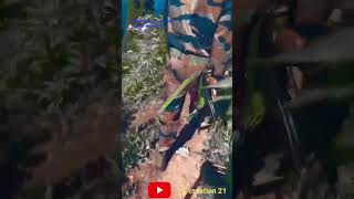 indian ArmyIAF status video 🔥🇮🇳🔥 reelsvideo motivation shortvideo [upl. by Sandie]