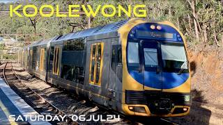 Trains on the NSW Central Coast  Koolewong [upl. by Randall238]