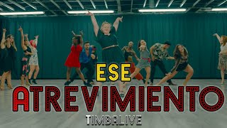 Timbalive  Ese Atrevimiento Dance Video Choreography  MihranTV [upl. by Nwadal]