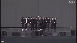 SEVENTEEN quotMAESTROquotダンス反転動画 [upl. by Clement614]