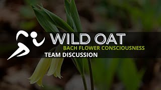 WILD OAT  BACH FLOWER CONSCIOUSNESS  TEAM DISCUSSION 19TH REMEDY thebrainliest [upl. by Ignatz]