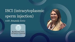 ICSI intracytoplasmic sperm injection with Amanda Iorio [upl. by Aelanej]