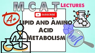 Biochemistry MCAT Chapter 10 Lipid and Amino Acid Metabolism 12 [upl. by Salocin554]