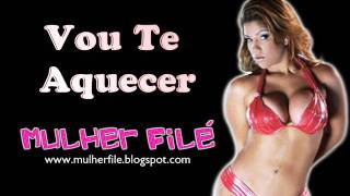 Vou Te Aquecer  Mulher Filé e Mr Catra [upl. by Anaimad]