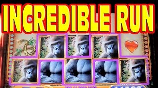 Queen of the Wild INCREDIBLE SLOT MACHINE RUN Bonus Retrigger Line Hits Progressives HUGE WIN [upl. by Layor]