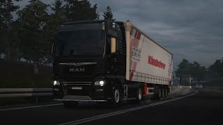 ETS2  MAN TGX Euro 6 540  Lublin PL to Debrecen HU  Smoked Sprats 18t [upl. by Izak]