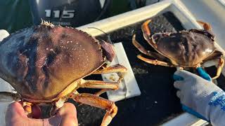 Whidbey Island Dungeness Crabbing views from Drone HD 1080p [upl. by Camilia336]