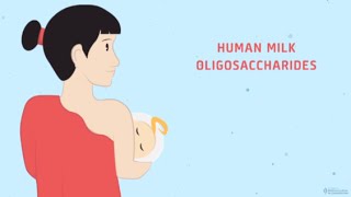 Prebiotics and Quality Carbohydrates Enhancing Digestive Health  HMO Animation [upl. by Imiaj]