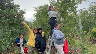 EP259Picking Apples Downey’s Farm Heartlake Road Brampton Ontario BuhayCanada OFW Filipino [upl. by Adnohsek]