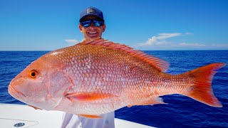 GIANT Red Snapper Grouper Tuna Catch Clean Cook Gulf of Mexico Fishing [upl. by Tufts]