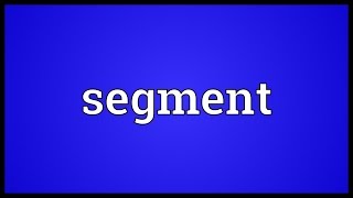 Segment Meaning [upl. by Buckden]