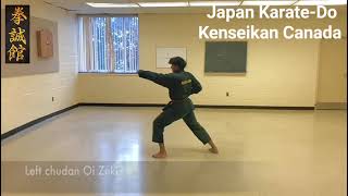 Kenseikan Karate  Kensei Nidan Kata Tutorial [upl. by Stockwell922]