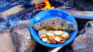 Catching amp Cooking Wild Trout Fish n’ Chips Over a Fire [upl. by Glialentn]