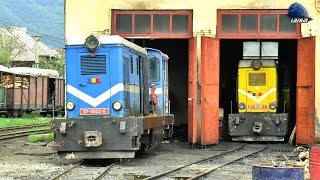 L45H 8700320 CFF Viseu la ManevraShunting in Viseu de Sus Maramures  27 August 2018 [upl. by Raimondo]