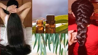 how to use eucalyptus oil for hair growth  Hair care Tips [upl. by Ojahtnamas575]