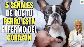 🚨5 SINTOMAS DE INSUFICIENCIA CARDIACA EN PERROS 🚨 [upl. by Aehsel]