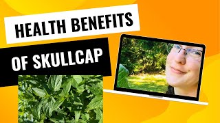 Surprising Health Benefits of Skullcap [upl. by Sidran]