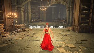 Elden Ring Shadow Of The Erdtree Part 20 Specimen Storehouse Floors 17 [upl. by Esmaria]