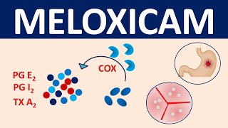 Meloxicam  Mechanism precautions side effects amp uses [upl. by Johnson]