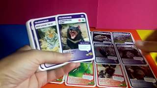 ZOV DIVLJINE KARTICEwild animals cards [upl. by Lihp]