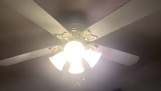 Turning My Ceiling Fan Light On [upl. by Deloris]