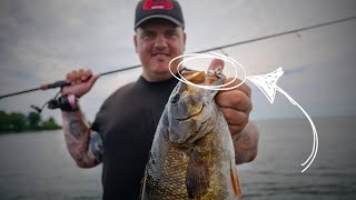 The Best Bait for Smallmouth Bass and Why It Works [upl. by Wyatan]