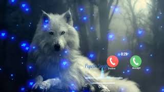 Animal notification Ringtone 2021 WhatsApp and Msg tone Wolf notification Ringtone [upl. by Ettenad262]