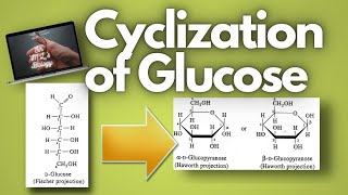 A simple explanation on the process of cyclization of glucose [upl. by Hepsibah]