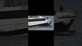 HIGH SPEED CATAMARAN quotADLER CATquot shorts shipspotting ship [upl. by Asined]