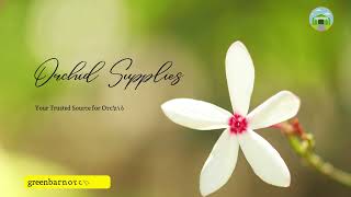 Orchid Supplies  Quality Pots Fertilizers and Mixes for Thriving Orchids [upl. by Sidell]