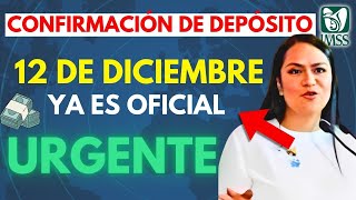 ✅ PAGO DE PENSIÓN BIENESTAR 12 DE DICIEMBRE ¡CHECA TU SALDO AHORA 🧓💸 [upl. by Anivol]